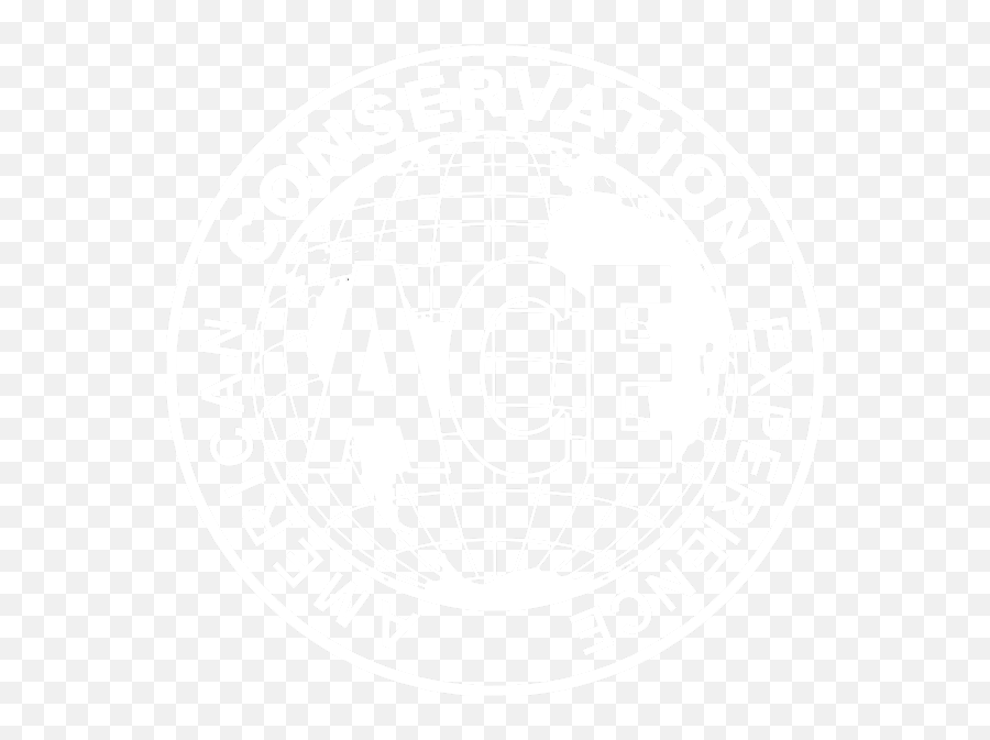 Home - Nsdap Emoji,Ace Logo