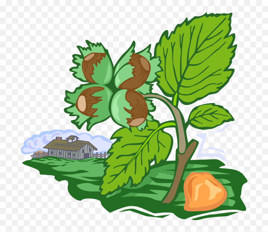 Hazelnut Orchard With Farm Building - Vector Image Emoji,Hazelnut Clipart