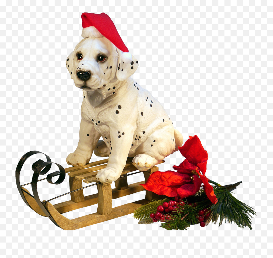 Christmas Dog Png Image - Purepng Free Transparent Cc0 Png Emoji,Dog Transparent Background