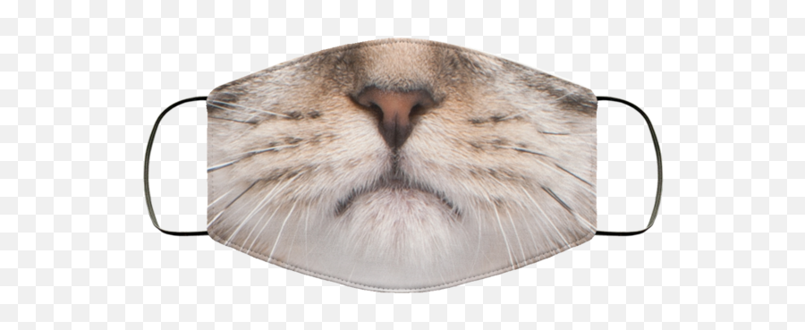 Pharmasutdio - Perfected For Summer Reliable Affordable Cat Emoji,Cat Face Png