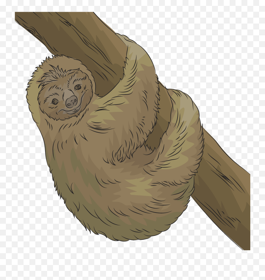 Sloth Clipart - Pygmy Sloth Emoji,Sloth Clipart