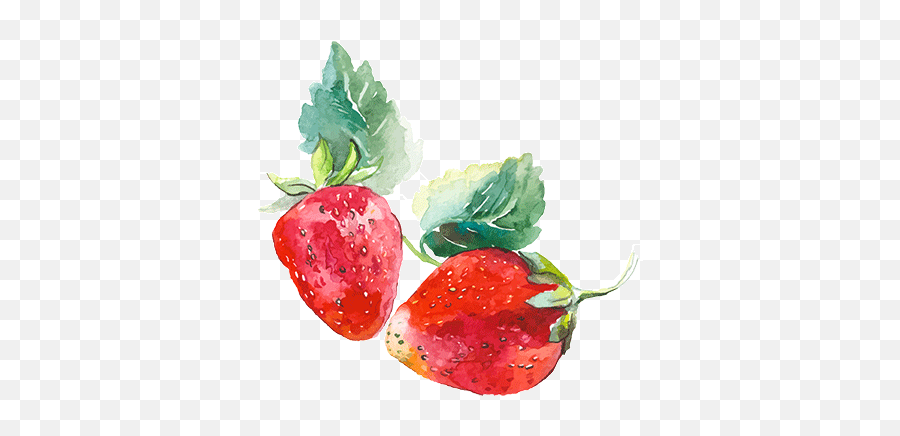 Download Babydoll Sparkling Blush - Watercolor Strawberry Watercolor Strawberry Transparent Background Emoji,Strawberry Transparent Background