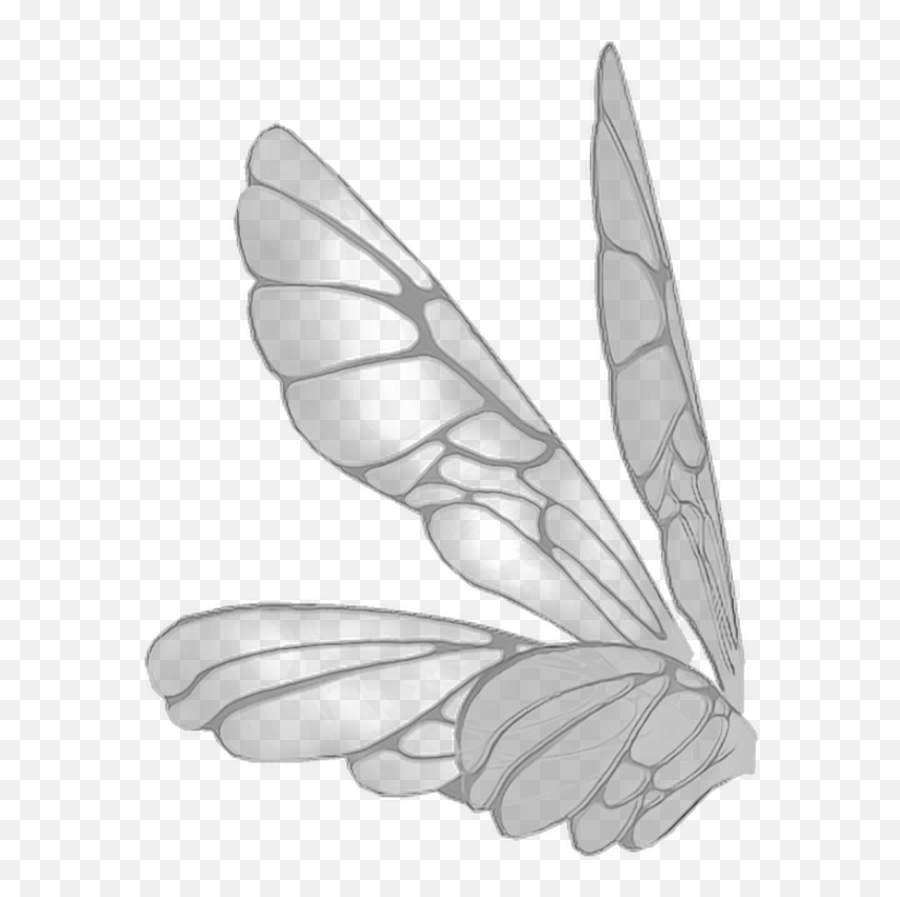 Wings Butterflywings Butterfly Fairy - Transparent Fairy Wings Side View Emoji,Fairy Wings Clipart
