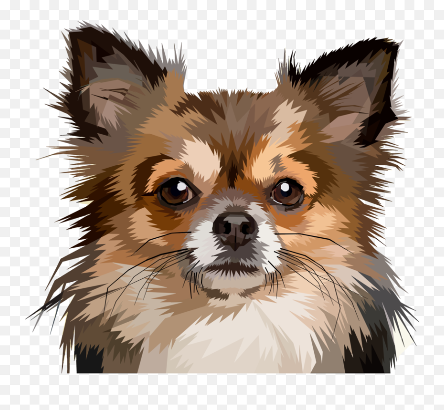 Companion Dog Fur German Spitz Png Emoji,Pomeranian Clipart