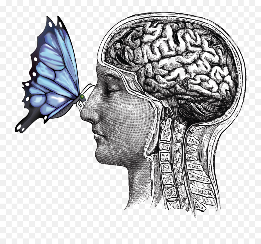 Butterfly Brain - Sticker Brain Sticker Emoji,Hydro Flask Logo Sticker