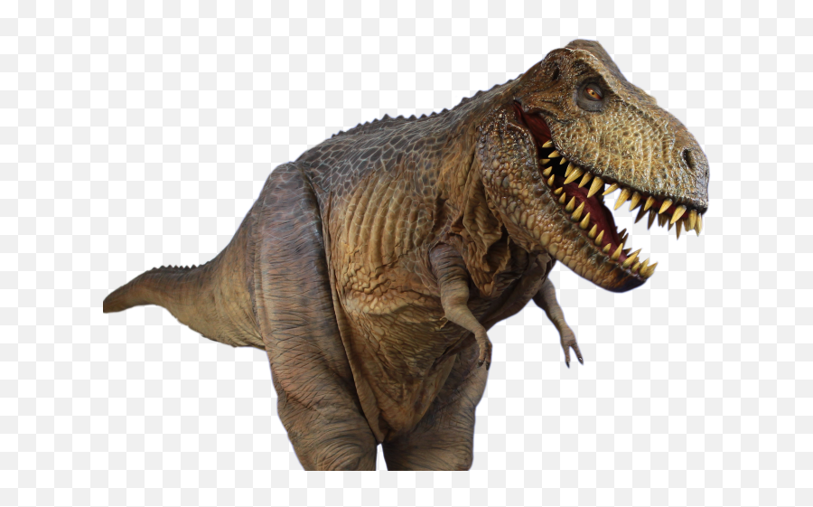 T Rex Png Transparent Hd Photo - Tyrannosaurus Png Emoji,Trex Png