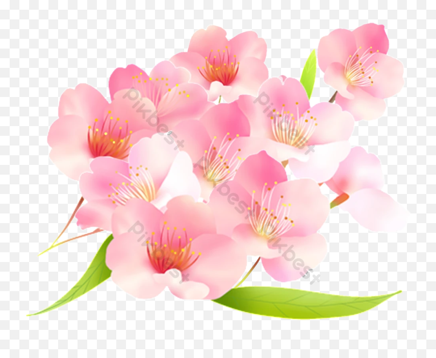 Pink Stacked Cherry Blossom Transparent Emoji,Cherry Blossoms Transparent