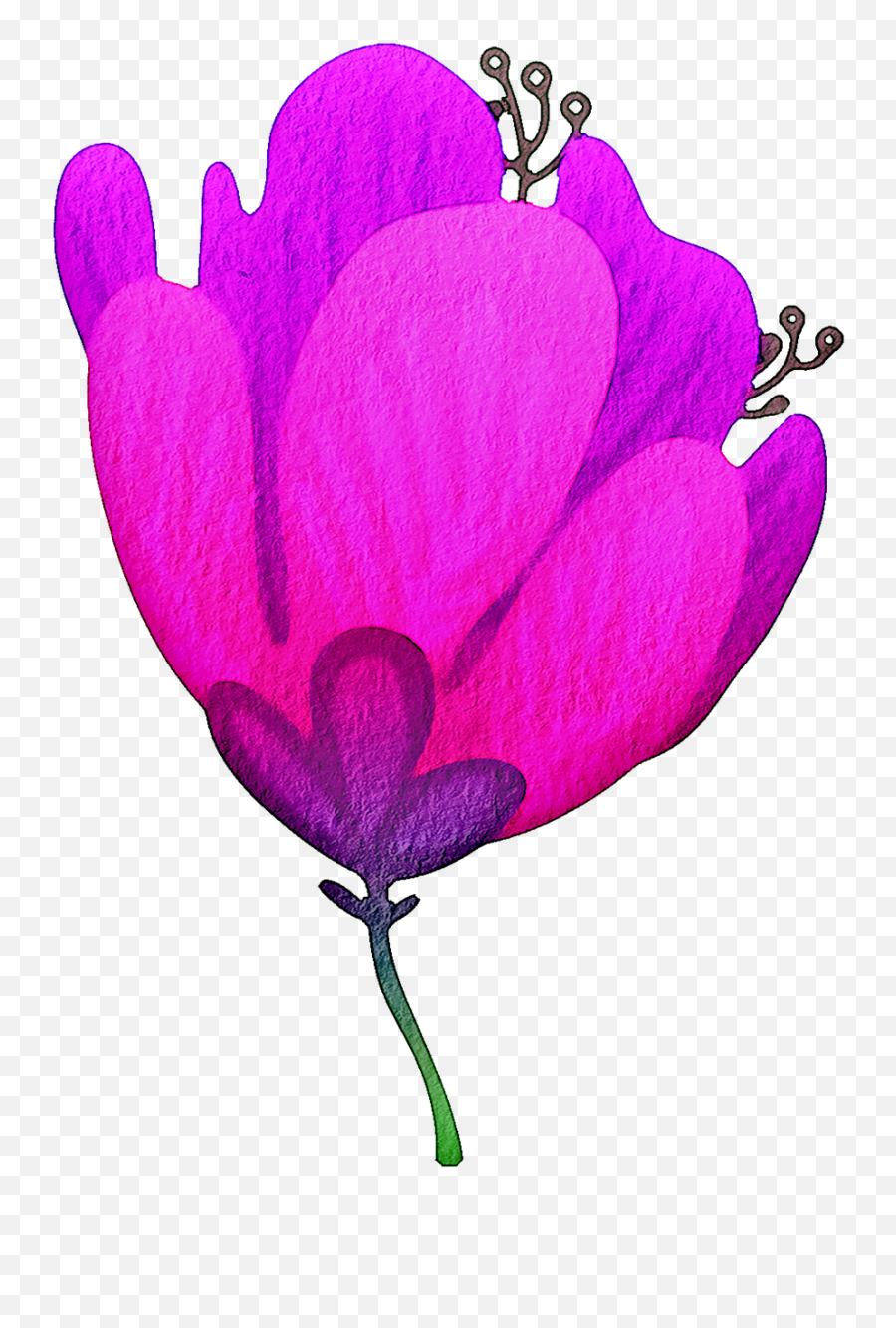 Watercolor Flowers Floral Pink - Girly Emoji,Watercolor Floral Png