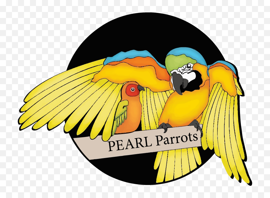 Pearl Parrot Rescue - Pearl Parrot Rescue Emoji,Parrot Png