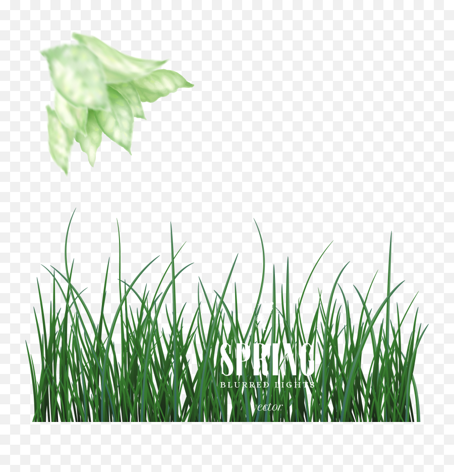 Green Euclidean Vector - Spring On The New Dream Grass Emoji,Grass Background Png