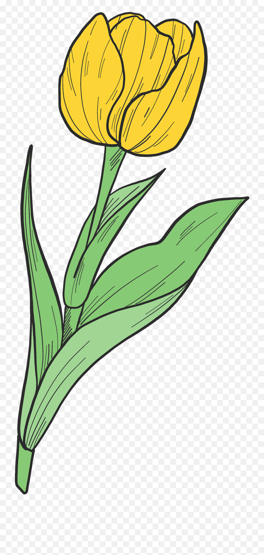 Yellow Tulip Clipart - Fresh Emoji,Tulip Clipart