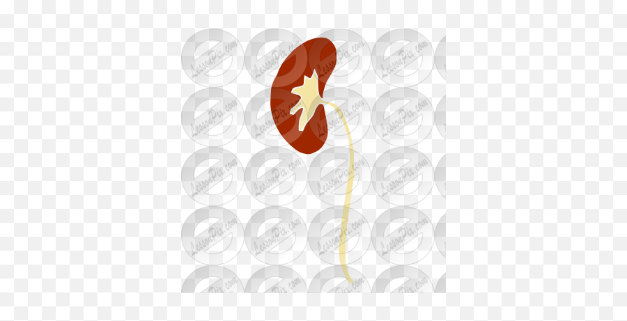Kidney Stencil For Classroom Therapy - Circle Emoji,Kidney Clipart