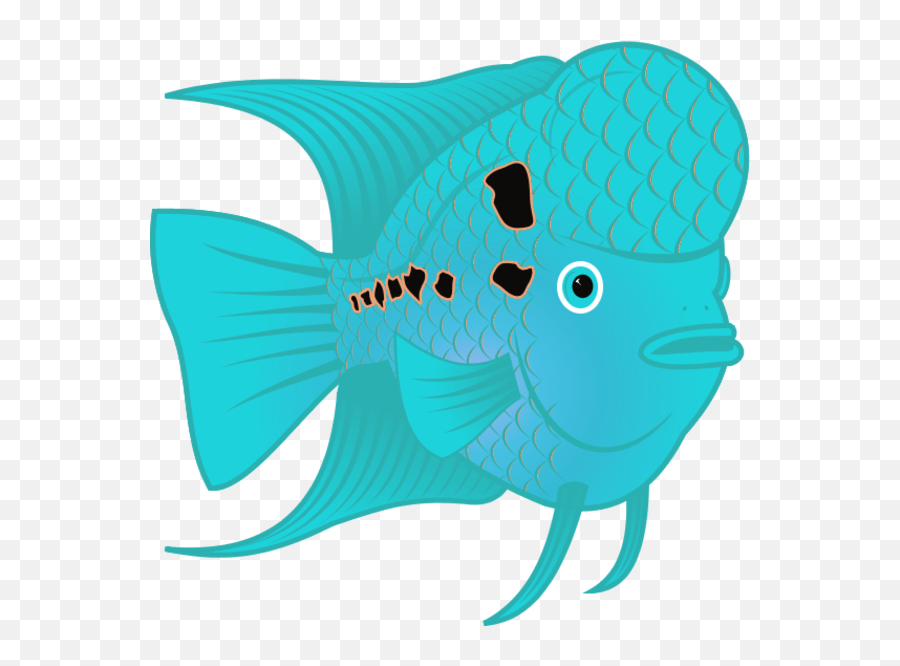 Flowerhorn Fish - Flower Horn Fish Clip Art 600x585 Png Flower Horn Fish Art Emoji,Horn Clipart