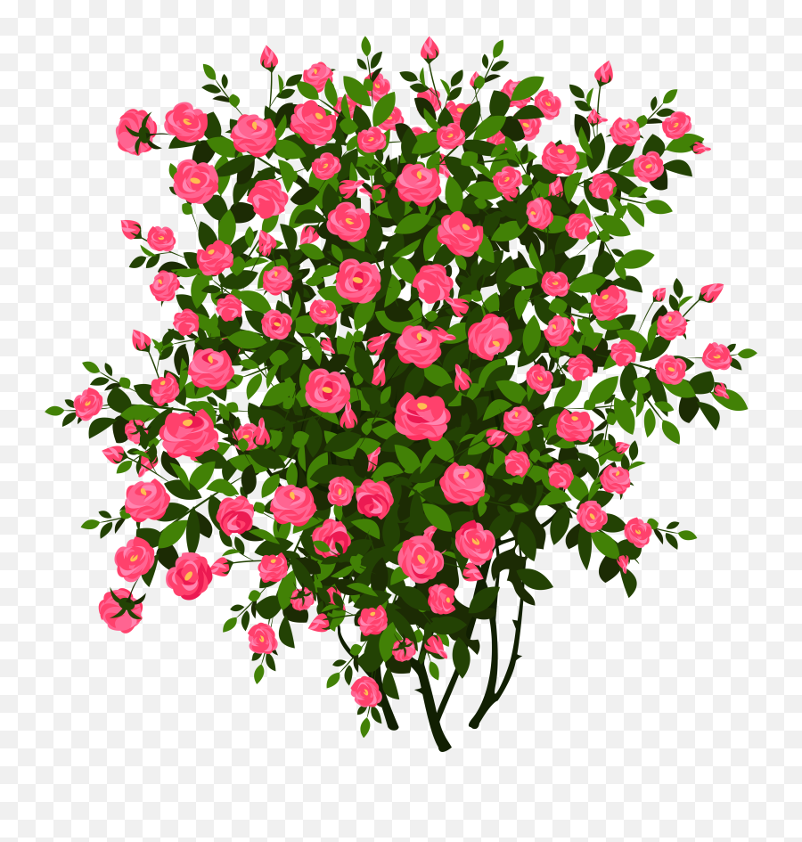 Pink Rose Bush Png Clipart Pictureu200b - Floral Emoji,Bush Clipart