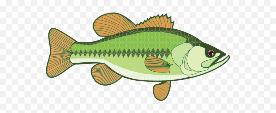 Fishing Perch Tilapia Seafood Clipart - Bass Fish Clip Art Emoji,Seafood Clipart