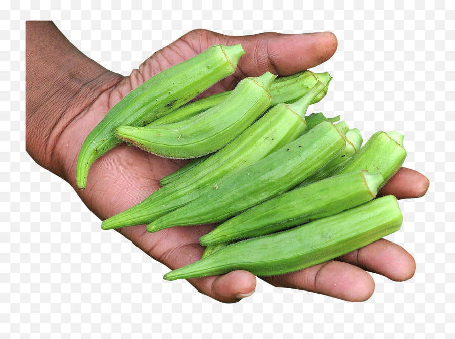 Hand With Okra Png Image Okra Earth Clipart Png Images - Lady Finger On Hand Emoji,Earth Clipart Png