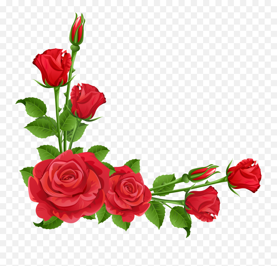 Border Png Files Clipart - Rose Transparent Background Flowers Png Emoji,Rose Clipart