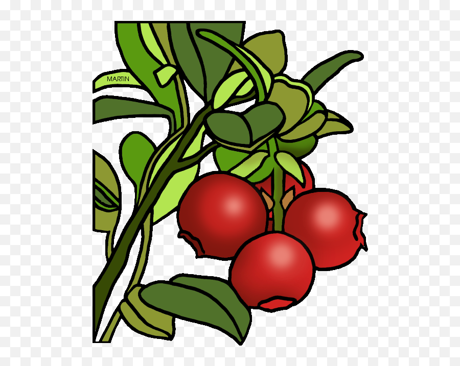 Download Cranberry Clipart - Black And White Cranberry Sauce Emoji,Sauce Clipart