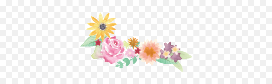 Our Flowers U2013 Elk Creek Flower Farm Emoji,Flower Crown Clipart