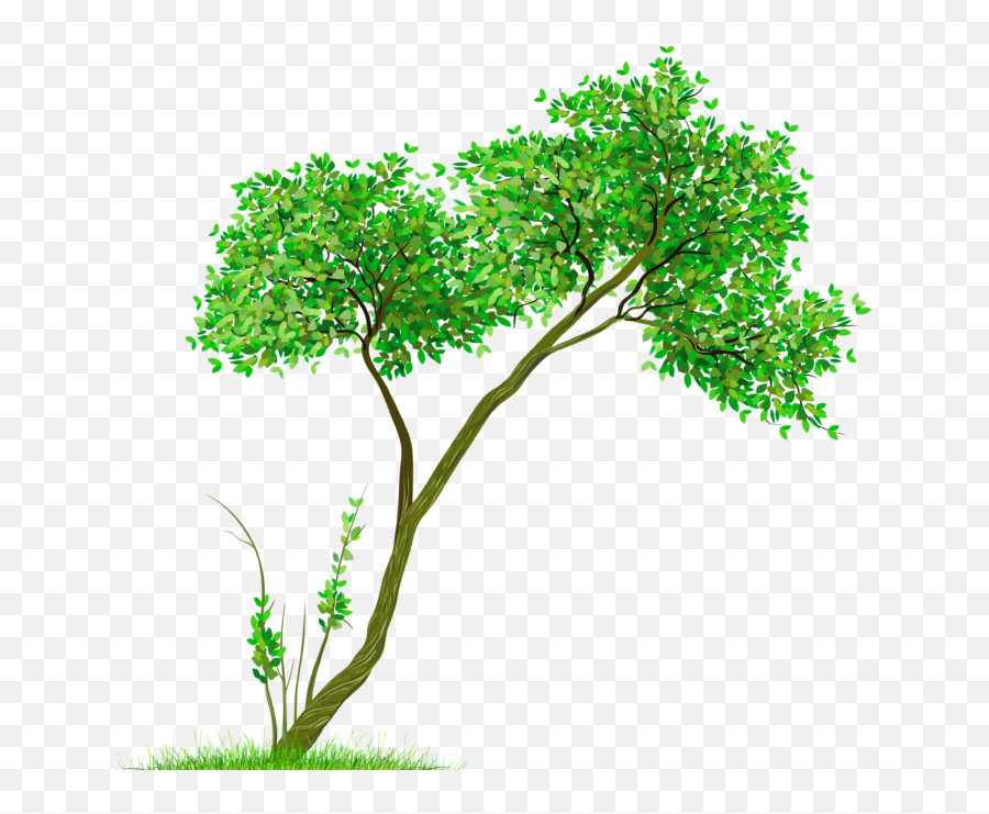 Trees In Png On Transparent Background - Free Cliparts Emoji,Tree Branch Transparent Background