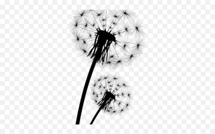 Dandelion Clipart - Black And White Dandelion Silohette Emoji,Dandelion Clipart