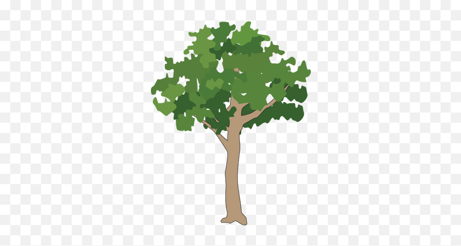 Oak Tree Download Icon Png Transparent Background Free - Tall Tree Icon Png Emoji,Oak Tree Png