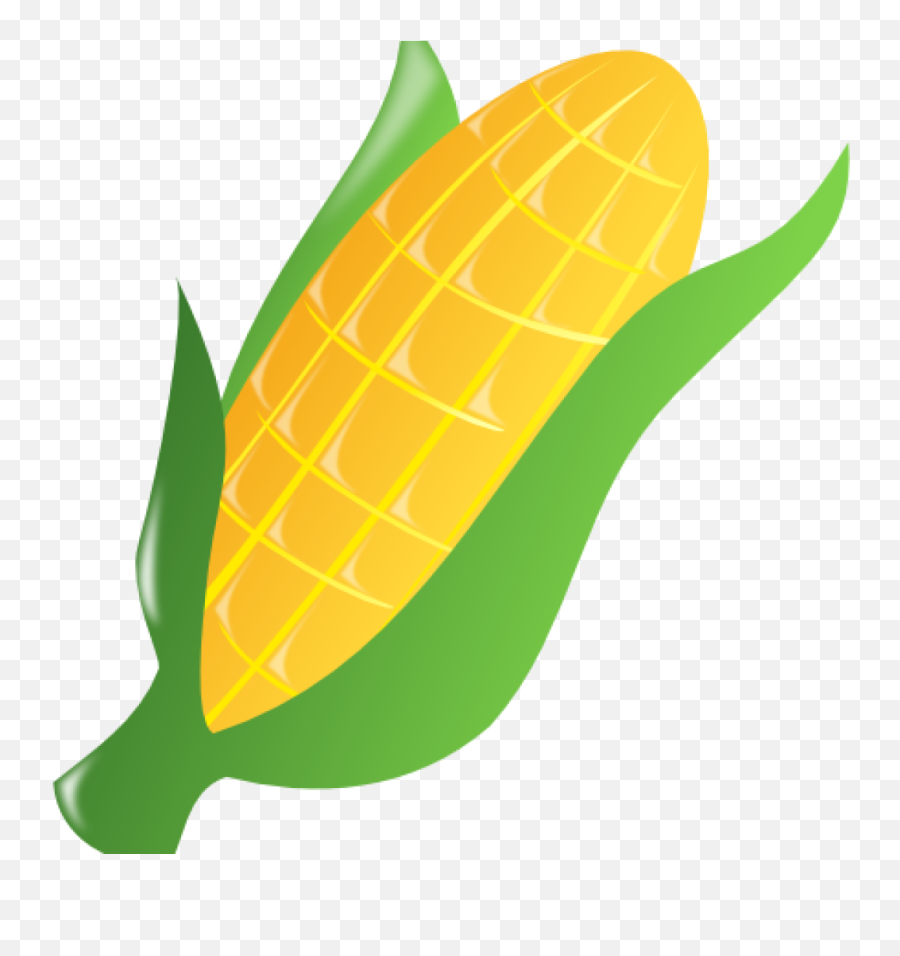 Corn Clipart Png Transparent Png - Transparent Background Corn Clipart Transparent Emoji,Corn Clipart