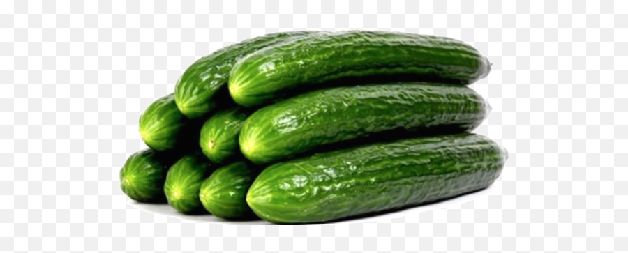 Download Veg Cucumbers Organic English - English Cucumber Png Emoji,Cucumber Png