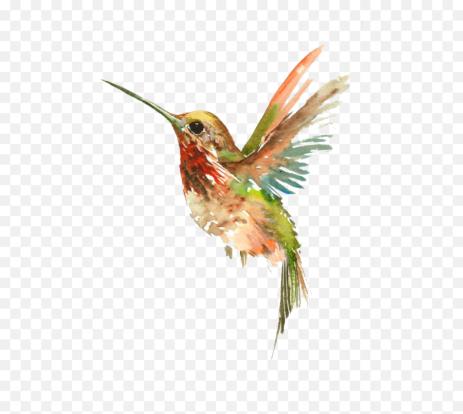 Download Tattoo Flying Watercolor - Watercolor Hummingbird Emoji,Hummingbird Clipart