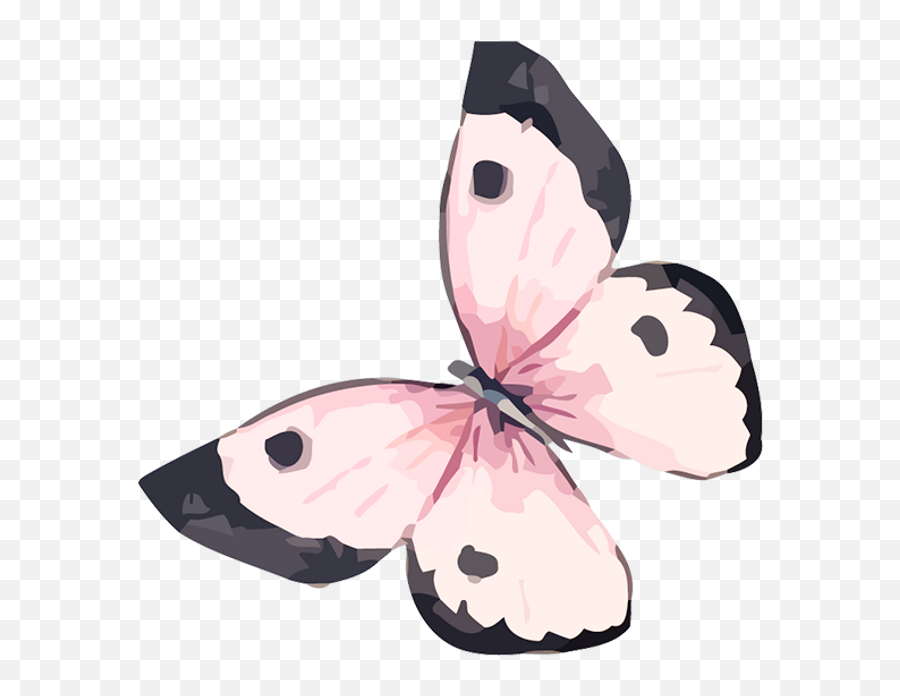 Home Marianne F Syrett Foundation Emoji,Watercolor Butterfly Png