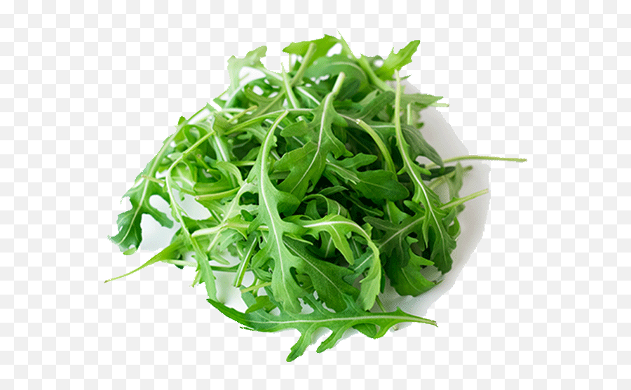 Celery Transparent Png Image - Leaf Vegetable Emoji,Celery Png