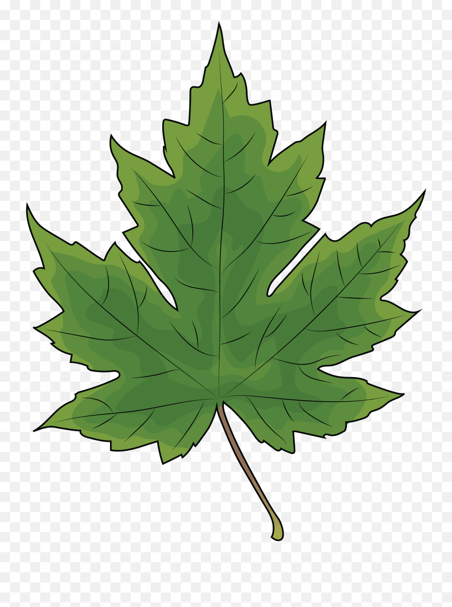 Types Of Leaf Textures Transparent Cartoon - Jingfm Symmetrical Figures Emoji,Oak Leaf Clipart
