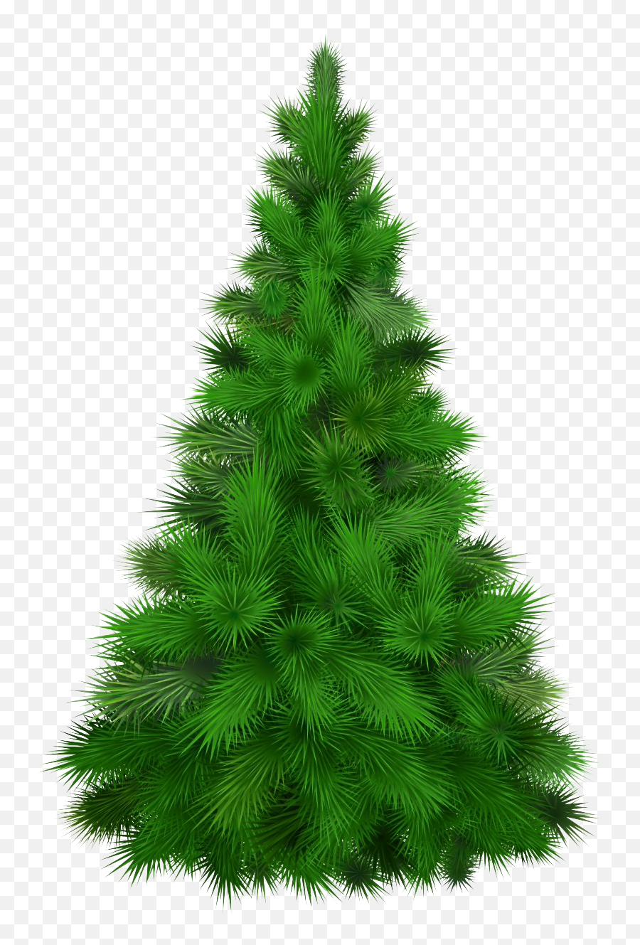 Christmas Pine Tree Transparent Png Png Mart - Transparent Christmas Pine Tree Emoji,Tree Transparent