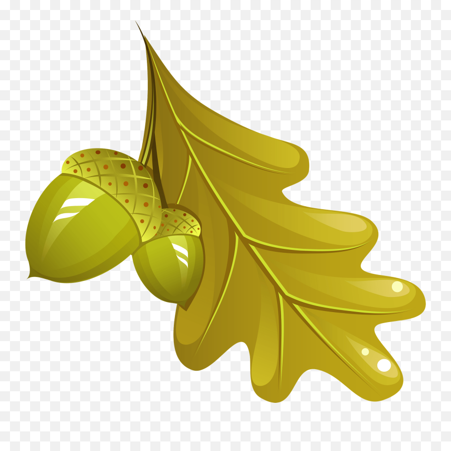 Oak Leaf And Acorn Clipart Free Download Transparent Png Emoji,Oak Leaf Clipart