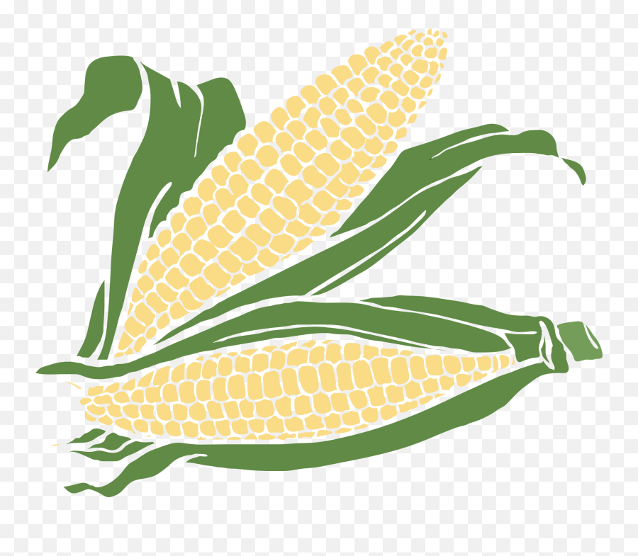 Corn Clipart Png Transparent Images - White Corn Clipart Emoji,Corn Clipart