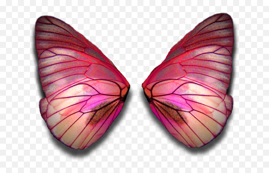 Fairy Wings Butterflywings Fairywings - Butterfly Wings Png Transparent Emoji,Fairy Wings Clipart