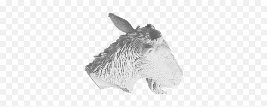 Mierce Miniatures - The Terror Of Fortriu Goat Head Emoji,Goat Head Png