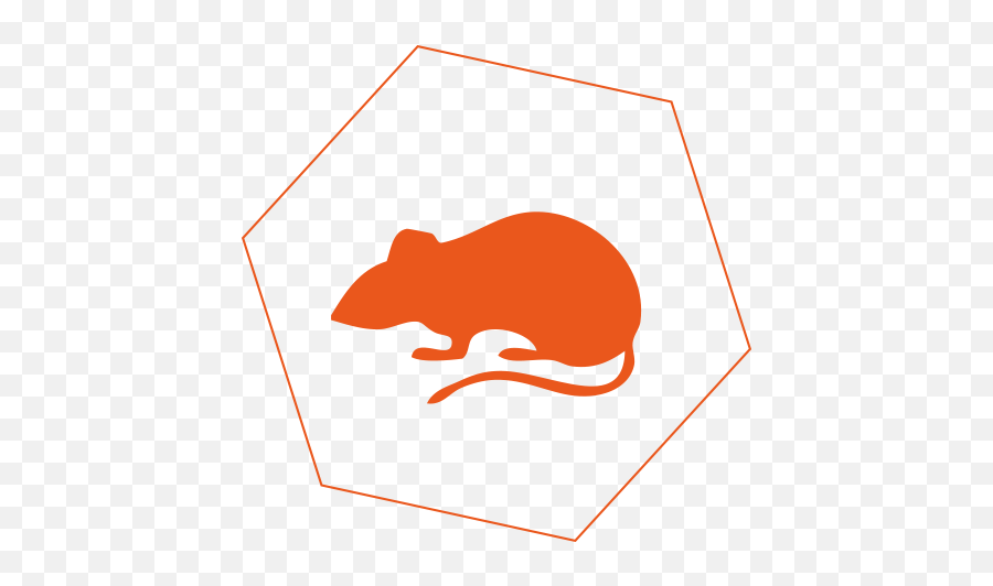Rats - Emerson College Concrete Literary Magazine Emoji,Rat Transparent