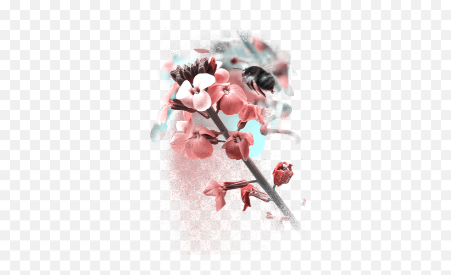 Cherry Blossom Branch - Cherry Blossom Png Download Twig Emoji,Cherry Blossom Png