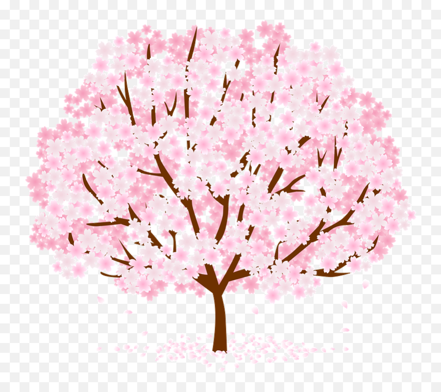 Cherry Blossoms Clipart Emoji,Sakura Tree Png