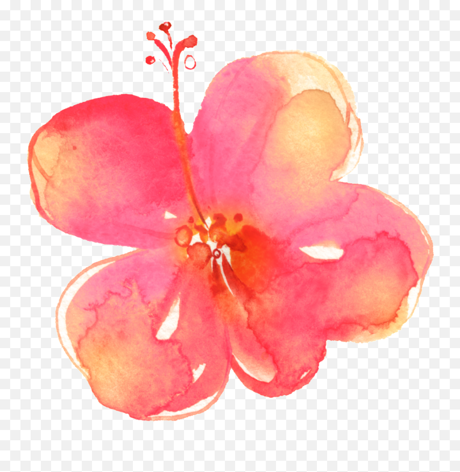 Download Painted Pink Hd Flower Petals Png - Flower Png Emoji,Pink Rose Petals Png