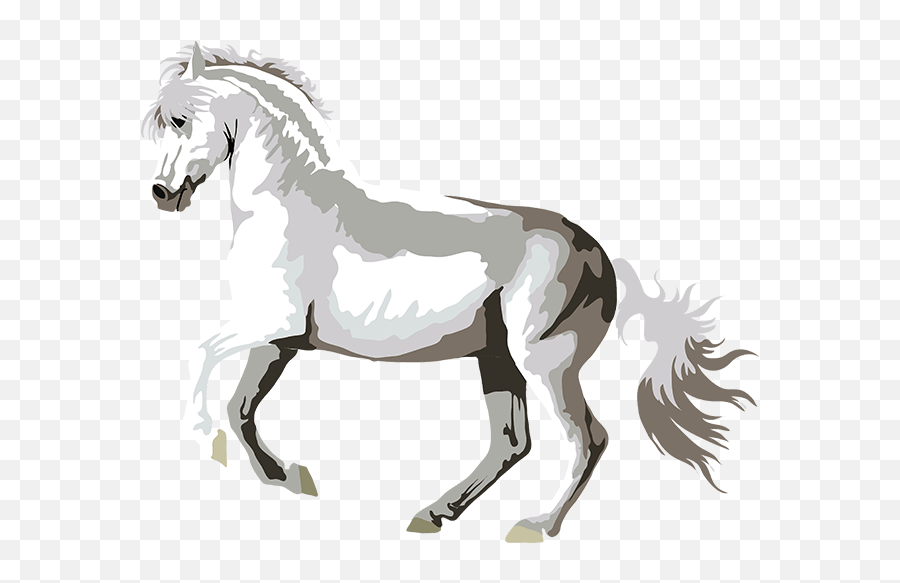 Realistic Horse Art - Horses Arabian Appaloosa By Moments Emoji,Mustang Clipart Black And White