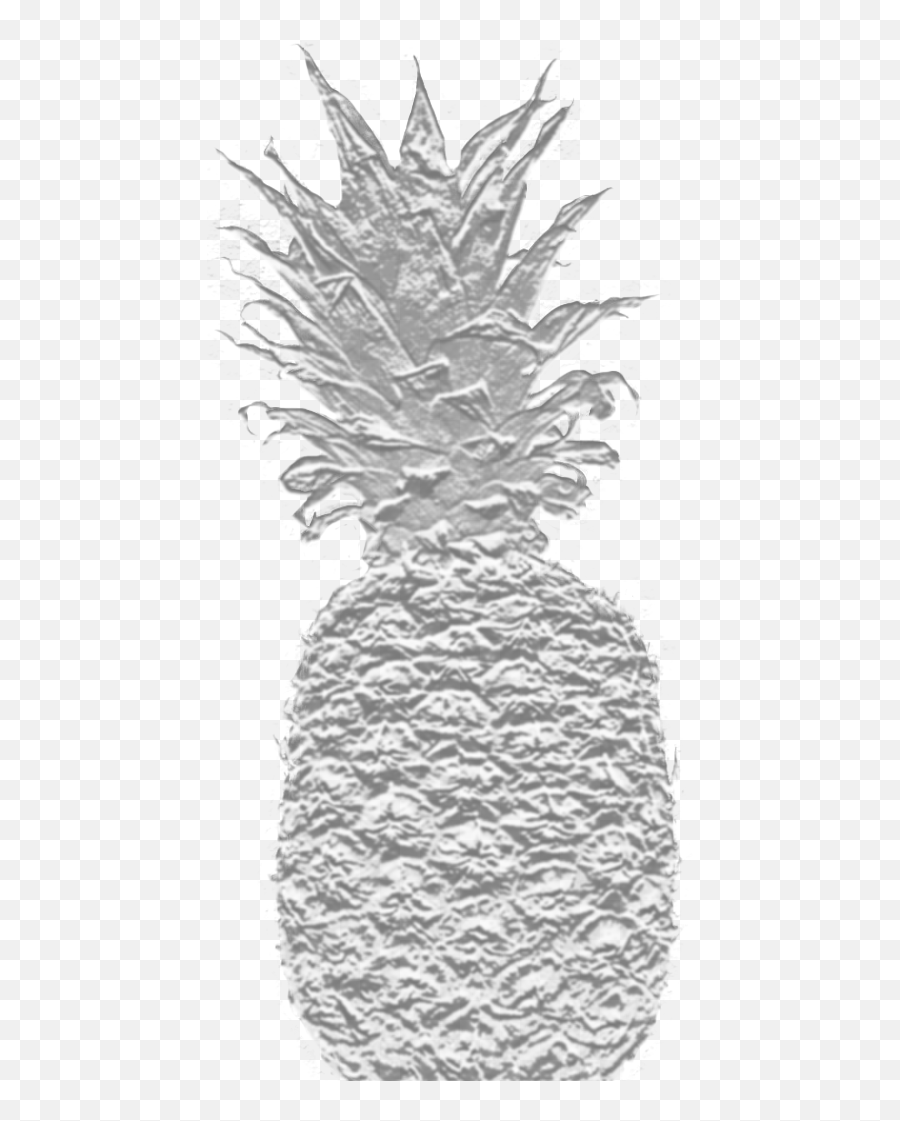 Callie Realty - Fresh Emoji,Pineapple Logo