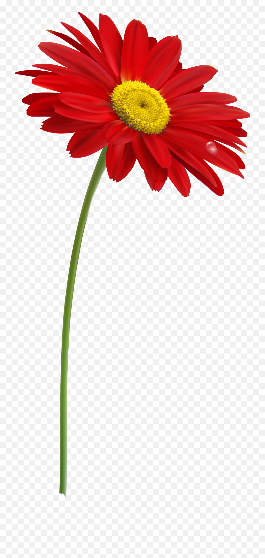 Download Single Flowers Clipart Images - Flower Stem Png Emoji,Stem Clipart