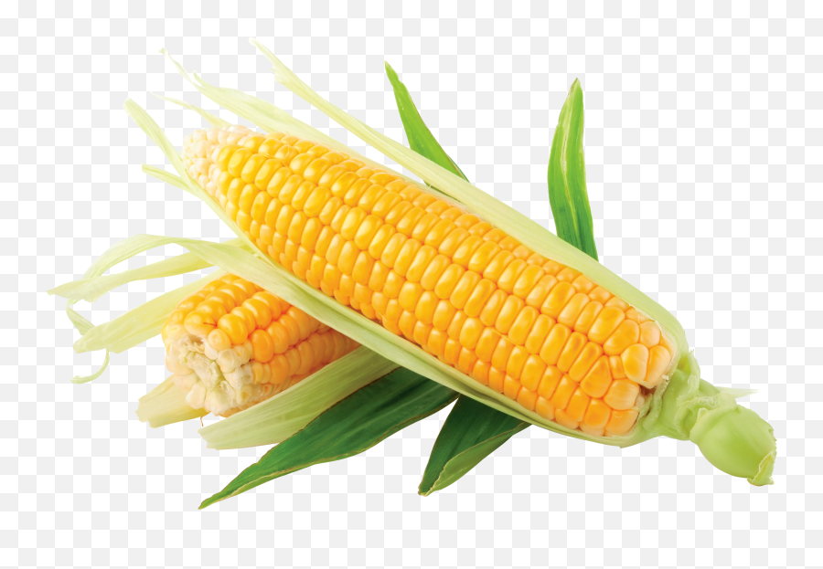 Corn Clip Art Black And White Free - Corn Png Emoji,Corn Clipart