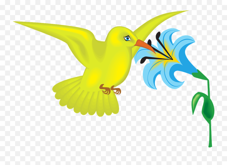 Birds Clipart Flower - Cartoon Flower And Bird Emoji,Hummingbird Clipart