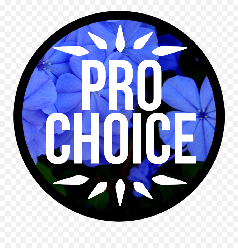 Pro Choice Quotes Tumblr Hd Pro Choice Or No Voice - Pro Emoji,Notebook Transparent Background