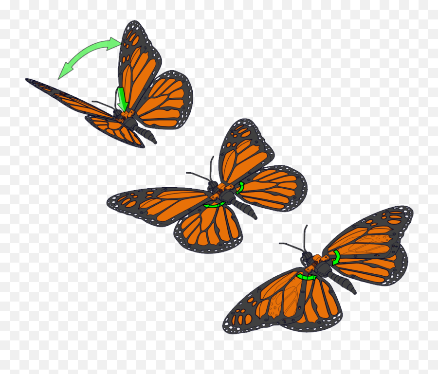 Articulated Monarch Butterfly Papillon Monarque Articulé Emoji,Butterfly Wing Clipart