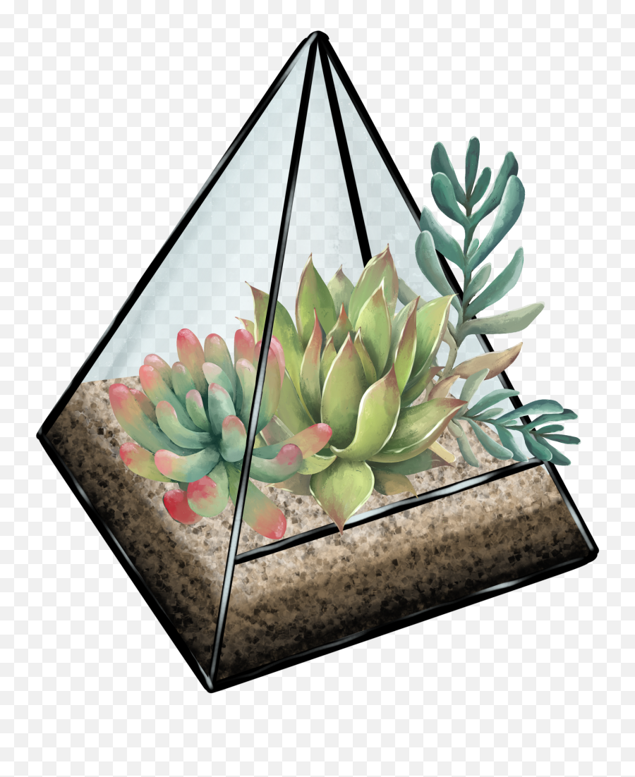 Succulent Terrarium Illustration Succulent Design Cactus - Succulent Terrarium Transparent Background Emoji,Succulent Png