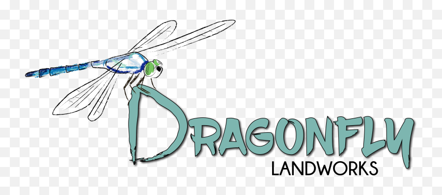 Dragonfly Landworks - Language Emoji,Dragonfly Logo